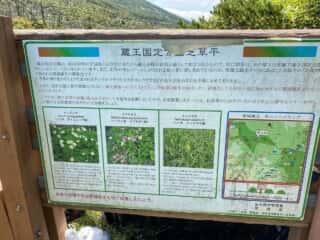 屏風岳・刈田岳 登山道