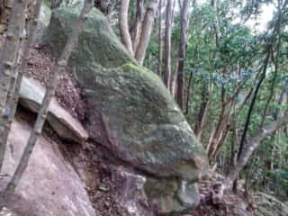 ビシャゴ磯 裏山の巨石群