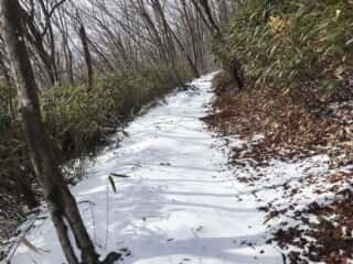 展望台から山道には雪が。。