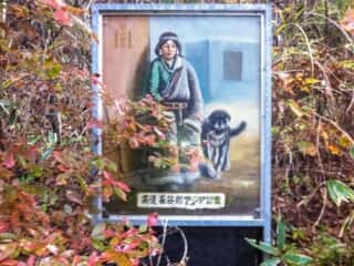 高遠 長谷部アジア公園