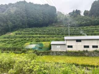 四国八十八ヶ所霊場 第12番札所 焼山寺〜第13番札所 大日寺