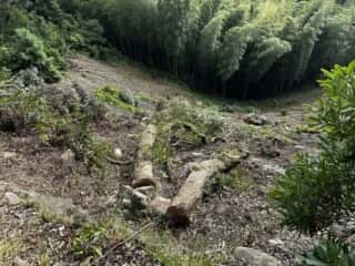 竹ケ島頂上整備工事