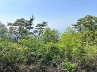 四国八十八ヶ所霊場 第66番札所 雲辺寺〜第67番札所 大興寺