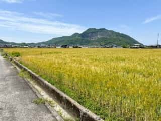 四国八十八ヶ所霊場 第73番札所 出釈迦寺〜第74番札所 甲山寺