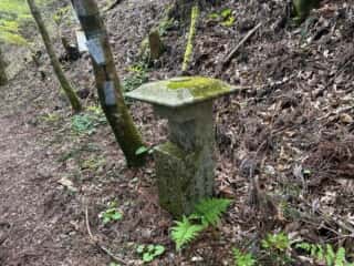 いやしの宿八丁坂〜四国八十八ヶ所霊場 第46番札所 浄瑠璃寺