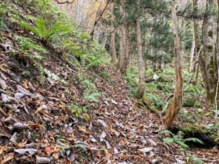 石上登山道