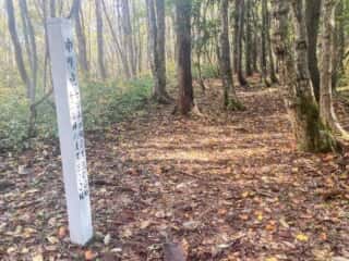 七高山登山道