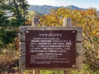 八甲田山 登山道