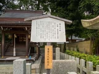 八坂神社　悪王子社由緒