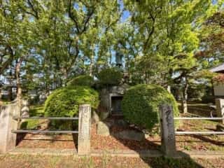 四国八十八ヶ所霊場 第70番札所 本山寺