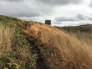 白神岳登山道