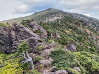 中岳登山道