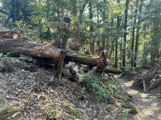 四国八十八ヶ所霊場 第20番札所 鶴林寺〜第21番札所 太龍寺