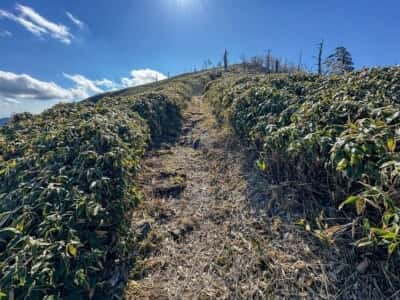 一ノ森・槍戸山