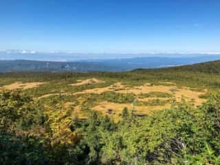 八甲田山 登山道