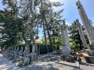 四国八十八ヶ所霊場 第75番札所 善通寺