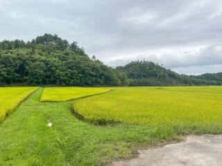 一年峰　入口の田園風景