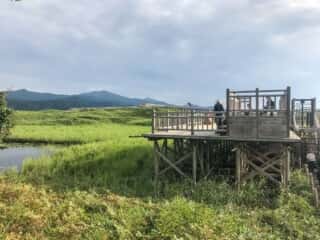 知床五湖 地上遊歩道