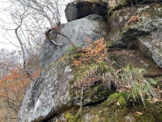 石上登山道