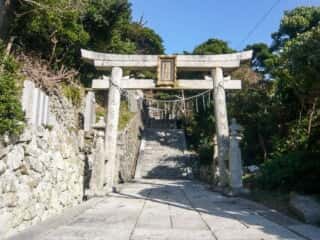 伊島の自然 当所神社　鳥居と参道