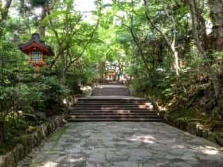 宇佐神宮　参道