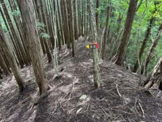 矢筈山・石堂山