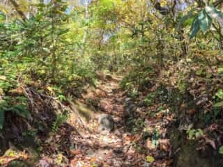岩木山登山道