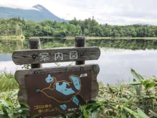 知床五湖 地上遊歩道