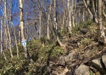 黒檜山 登山道