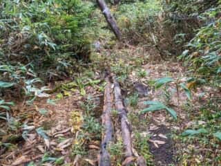 八幡平登山道