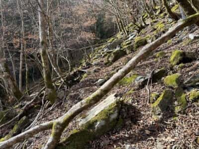 黒笠山