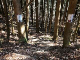 榛名山
