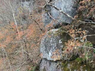 石上登山道