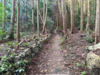 四国八十八ヶ所霊場 第19番札所 立江寺〜第20番札所 鶴林寺
