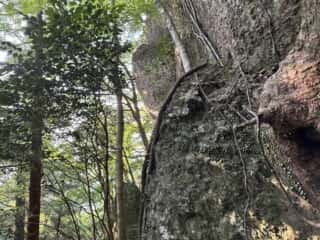 天岩戸立岩神社