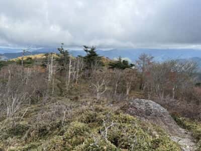 土佐矢筈山・小桧曽山