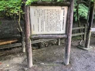 石上神宮鏡池のワタカ