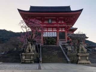 清水寺仁王門