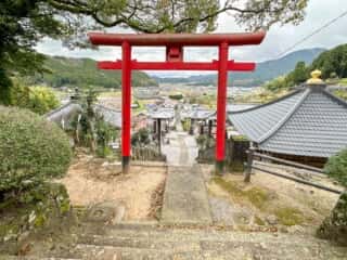 四国八十八ヶ所霊場 第41番札所 龍光寺