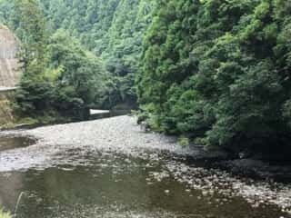 もみじ川