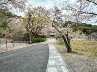 四国八十八ヶ所霊場 第50番札所 繁多寺