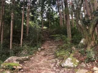熊野神社遺跡内の道