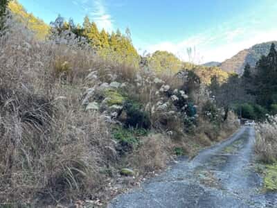 黒笠山