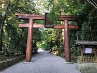 石上神宮 鳥居と参道