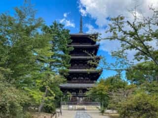 仁和寺　五重塔