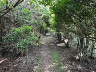 旭ヶ丸・大川原高原