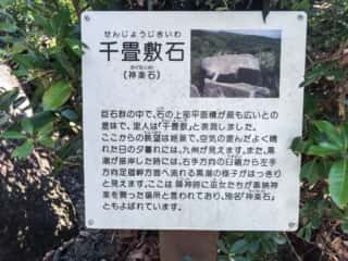 唐人石巨石群　千畳敷石