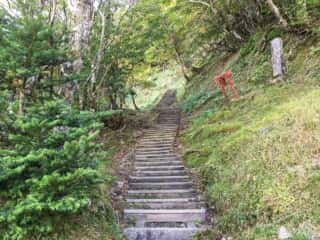 山上ヶ岳（大峯山）登山道