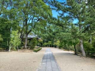 仁和寺　経蔵への参道