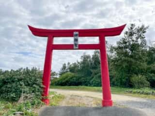 沖永良部島 岬大明神